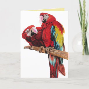 Birthday-kaart voor Bright Red Macaw Parrots Water Kaart