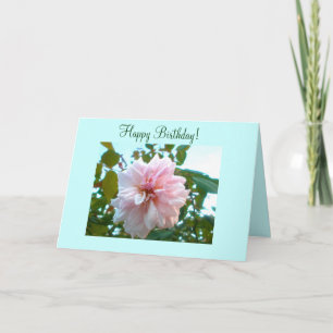 Birthday-kaart voor iemand speciaal kaart