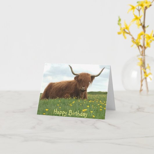 Birthday-kaart voor Koe in het Hoogland Kaart (Gele Bloem)
