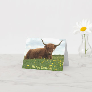 Birthday-kaart voor Koe in het Hoogland Kaart