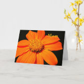 Birthday Kaart voor mam, Big Oranje Flower (Gele Bloem)