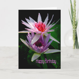 Birthday Kaart voor zuster, waterlilies