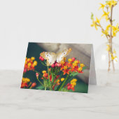 Birthday Kaart - White Peacock Butterflies (Gele Bloem)