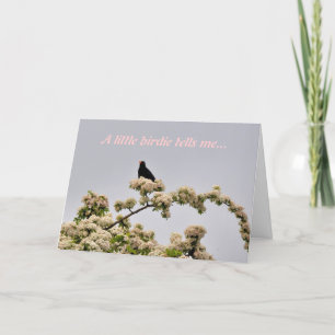 Birthday-kaart: Zwarte vogel Kaart