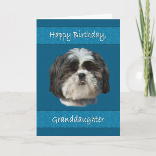 Birthday, kleindochter, Shih Tzu Dog Kaart