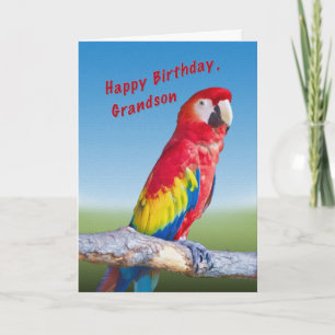 Birthday, kleinzoon, Macaw Parrot Kaart