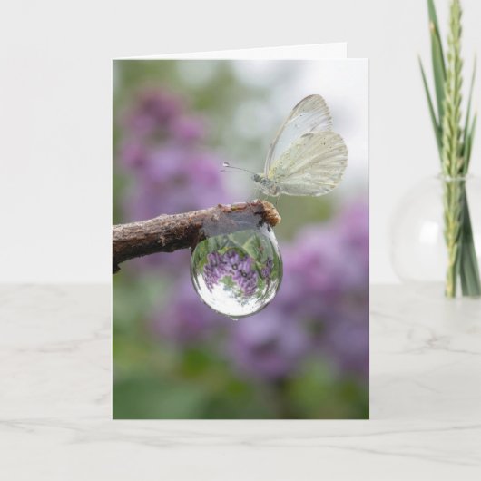 Birthday Lilacs Reflecting in a Raindrop Kaart (Voorkant)