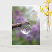 Birthday Lilacs Reflecting in a Raindrop Kaart (Gele Bloem)