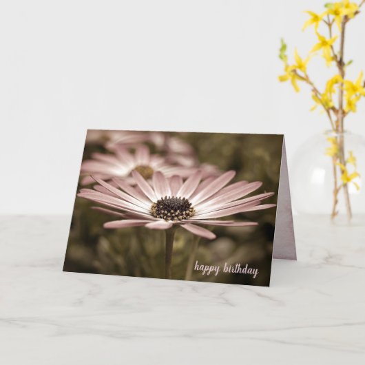 Birthday Macro Pink Daisy Kaart (Gele Bloem)