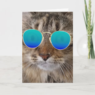 Birthday Maine Coon Cat in Sunbril Kaart