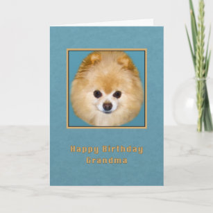 Birthday, oma, bruine en witte pommerse hond kaart