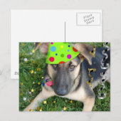 Birthday Party Animal German Shepherd Briefkaart (Voorkant / Achterkant)