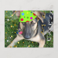 Birthday Party Animal German Shepherd