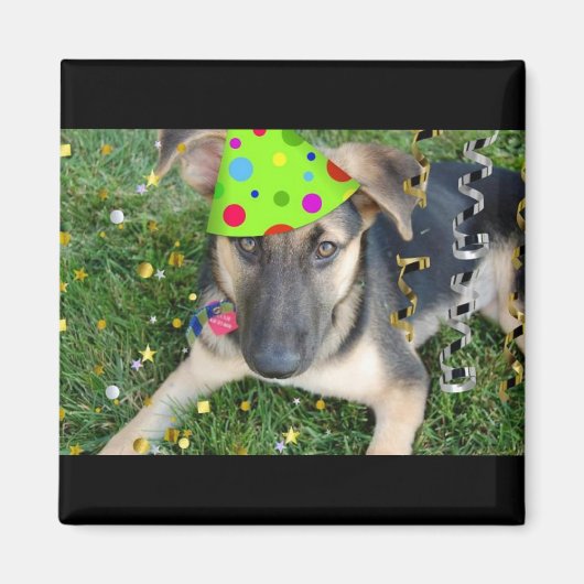 Birthday Party Animal German Shepherd Magneet (Voorkant)
