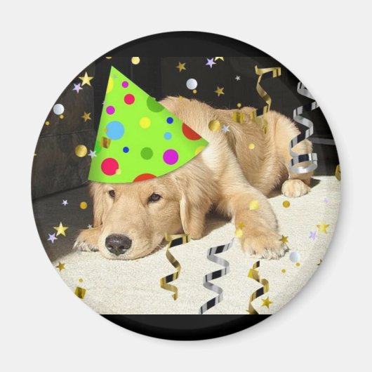 Birthday Party Animal Golden Retriever Magneet (Voorkant)