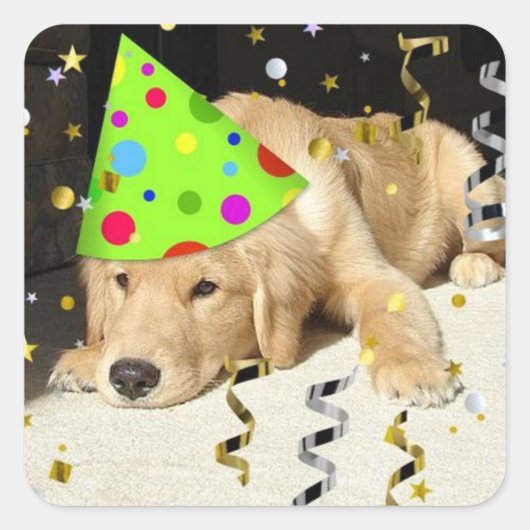 Birthday Party Animal Golden Retriever Vierkante Sticker (Voorkant)