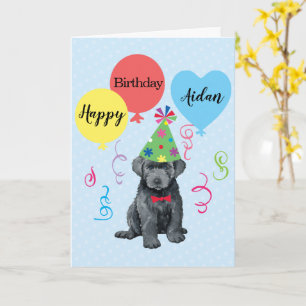Birthday Party Balloons Bouvier des Flandres Card Kaart