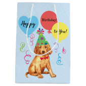 Birthday Party Balloons Irish Setter Medium Cadeauzakje (Achterkant)