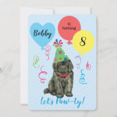 Birthday Party Balloons Newfoundland Uitnodiging (Voorkant)