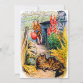 Birthday Party Beatrix Potter Bunnies die kat beki Kaart (Voorkant)