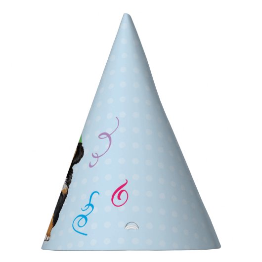 Birthday Party Berner Party Pet Feesthoedjes (Rechts)