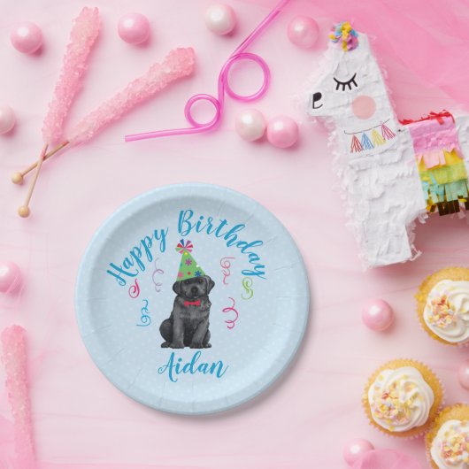 Birthday Party Black Lab Papieren Bordje (Feest)