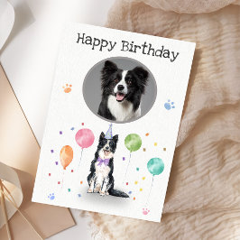 Birthday Party Border Collie Dog Animal Kaart