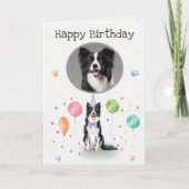 Birthday Party Border Collie Dog Animal Kaart (Voorkant)