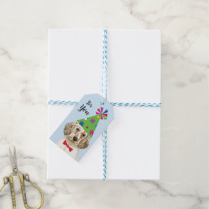 Birthday Party English Setter Gift Labels Cadeaulabel