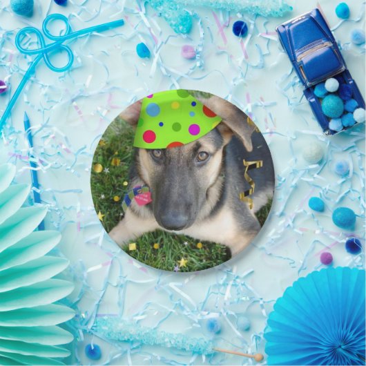 Birthday Party German Shepherd Papieren Bordje (Feest)