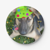 Birthday Party German Shepherd Papieren Bordje (Voorkant)