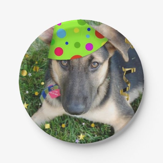 Birthday Party German Shepherd Papieren Bordje (Voorkant)