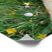 Birthday Party German Shepherd Poster (Hoek)