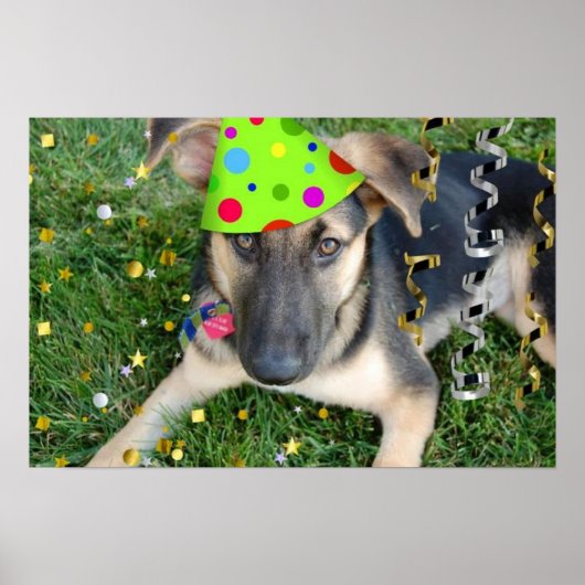 Birthday Party German Shepherd Poster (Voorkant)