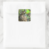 Birthday Party Giraffe Vierkante Sticker (Tas)