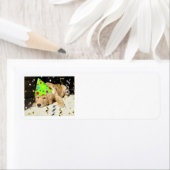 Birthday Party Golden Retriever Etiket (Insitu)