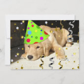 Birthday Party Golden Retriever Kaart (Voorkant)