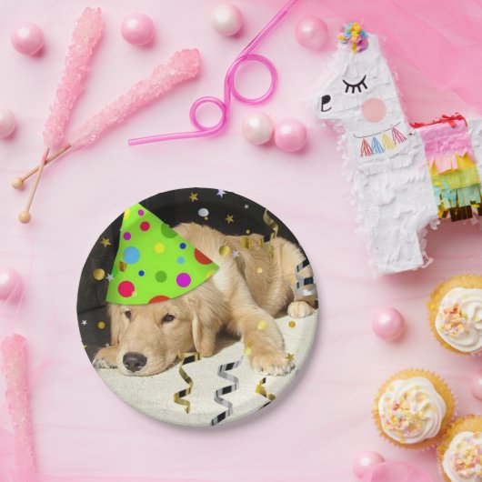 Birthday Party Golden Retriever Papieren Bordje (Feest)
