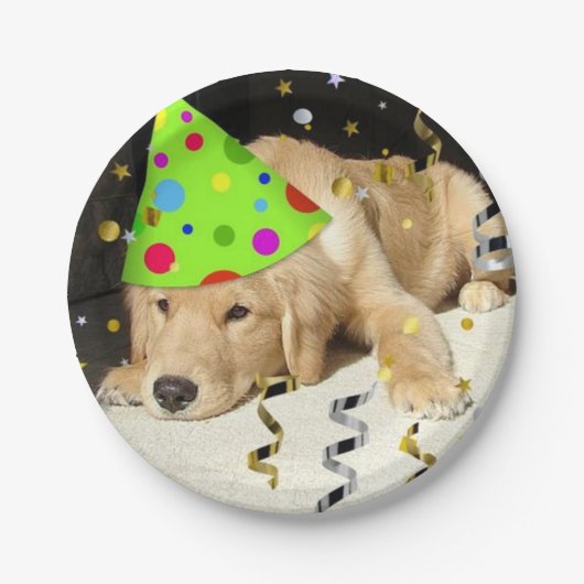 Birthday Party Golden Retriever Papieren Bordje (Voorkant)