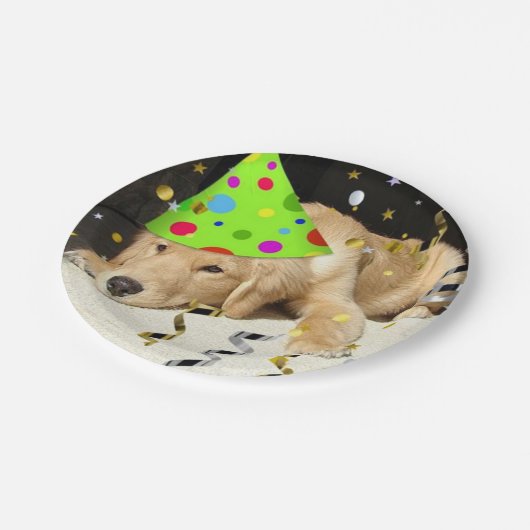 Birthday Party Golden Retriever Papieren Bordje (Gekanteld)