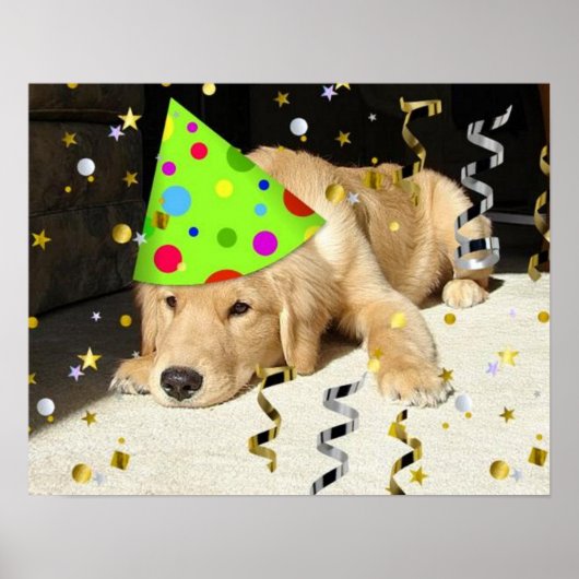 Birthday Party Golden Retriever Poster (Voorkant)