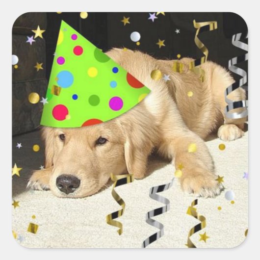 Birthday Party Golden Retriever Vierkante Sticker (Voorkant)