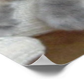 Birthday Party Gray Cat Poster (Hoek)