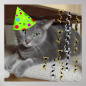 Birthday Party Gray Cat Poster (Voorkant)