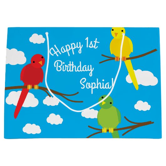 Birthday Party Groot Cadeauzakje (Voorkant)