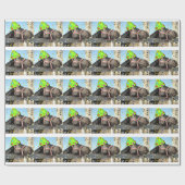 Birthday Party Horse Cadeaupapier (Vlak)
