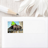 Birthday Party Horse Etiket (Insitu)