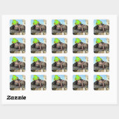 Birthday Party Horse Vierkante Sticker (Vel)