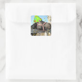 Birthday Party Horse Vierkante Sticker (Tas)