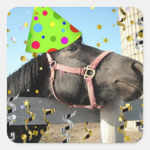 Birthday Party Horse Vierkante Sticker
